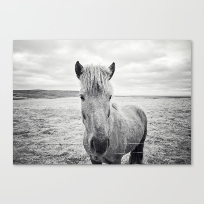 Horse Print Black And White Rustic Horse Art Canvas Print By