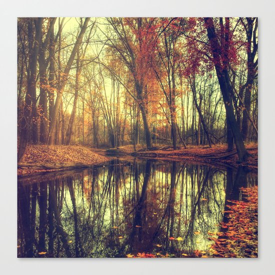 Autumn in the forest Canvas Print