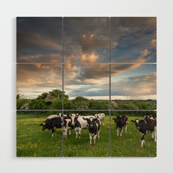 Cows On Summer Evening Wood Wall Art