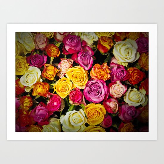 roses Art Print