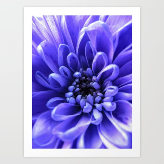 Macro Blue Art Print