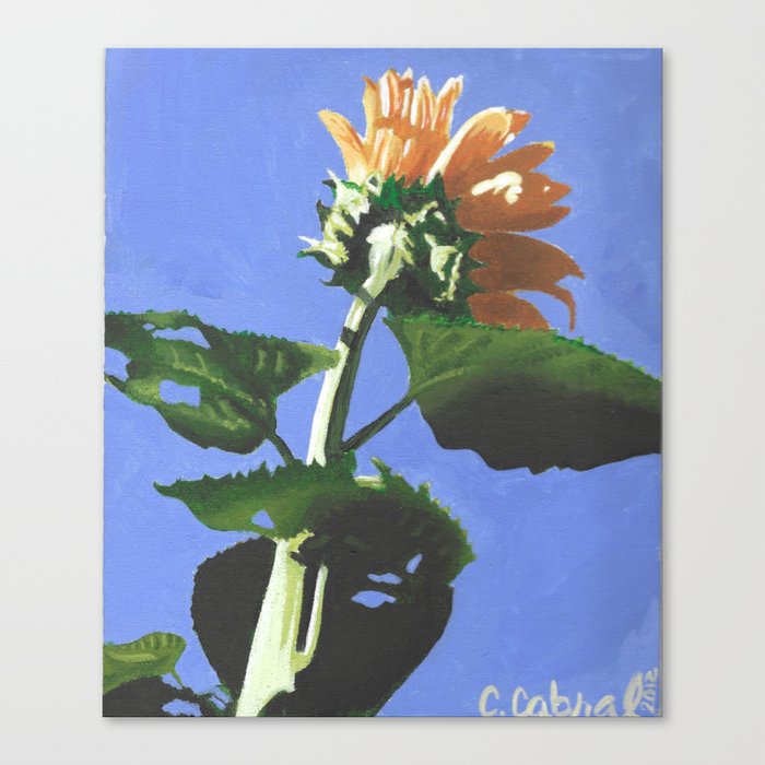 Sunflower-12 Canvas Print