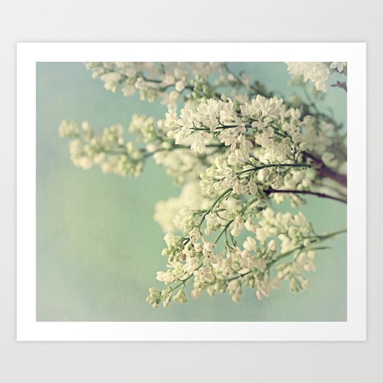 Lilacs Art Print