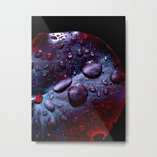 lily pad XIII Metal Print
