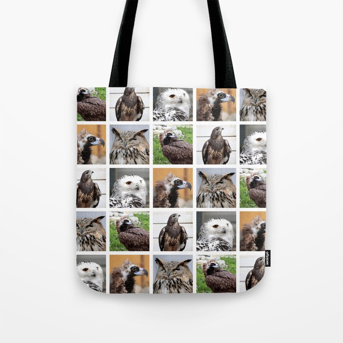 Closeup Animal Portraits Photographs. Birds of prey Tote Bag