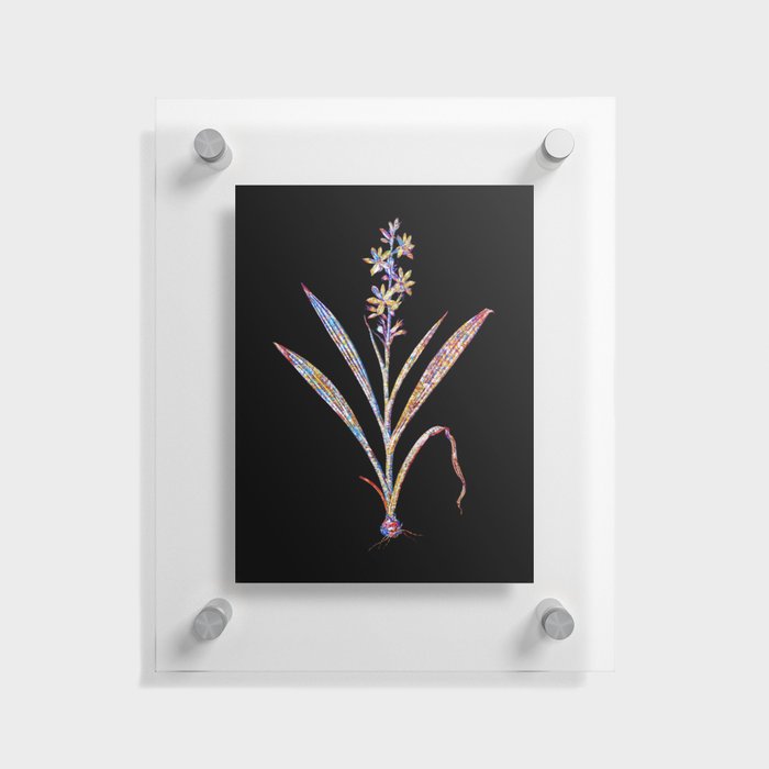 Floral Wachendorfia Thyrsiflora Mosaic on Black Floating Acrylic Print