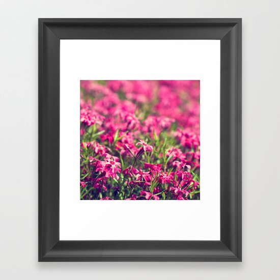 Through the Pink Framed Art Print