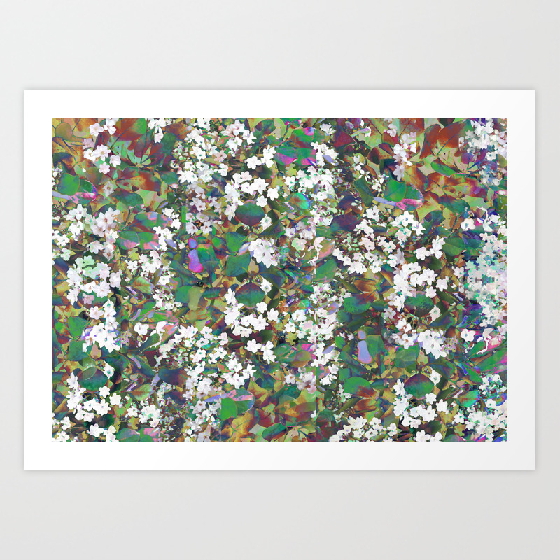 Hawthorn Digital Distortion Art Print