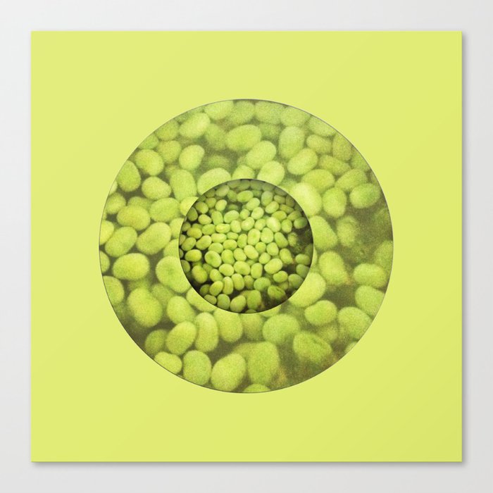 Green Beans Canvas Print