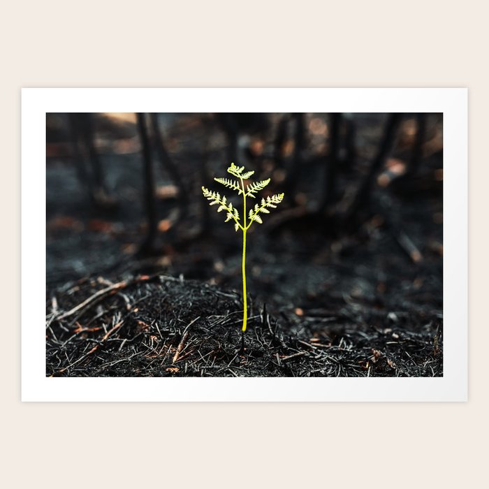 Art Print