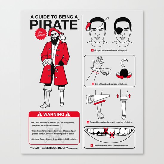 A Guide To Being A Pirate Canvas Print