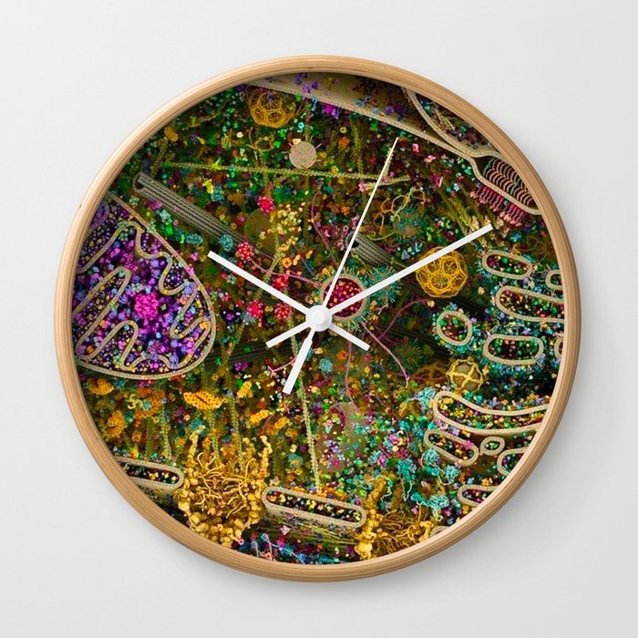 Human cell  Wall Clock
