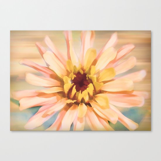 Sunset Zinnia Canvas Print