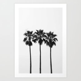 Venice Beach Palm Trees Art Print