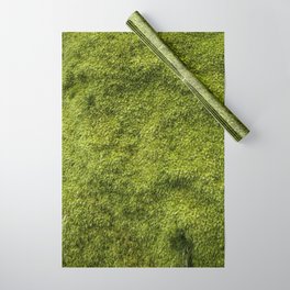 Moss Wrapping Paper