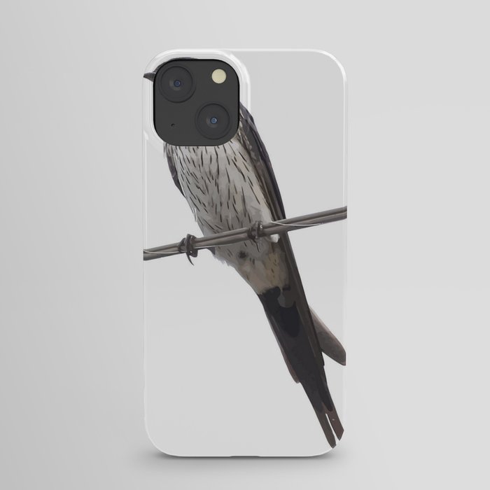 Red-Rumped Swallow Vector Background Removed iPhone Case