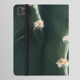 Cactus Spines iPad Folio Case