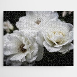 Pillow Fight Rose Trio 2 Jigsaw Puzzle