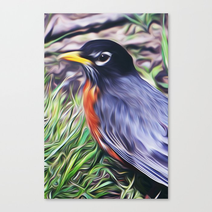 Red Breast Canvas Print