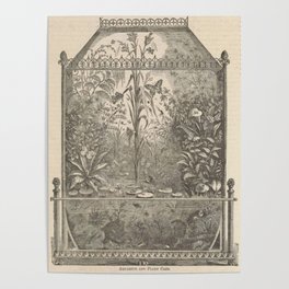 Victorian Terrarium Poster