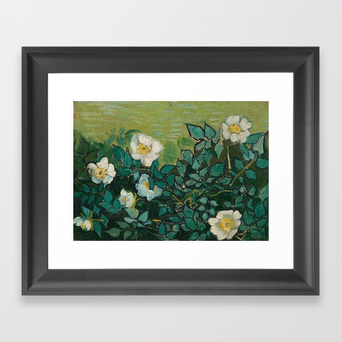 Van Gogh - Wild Roses, 1889 Framed Art Print
