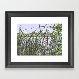 Cattail Breeze (river grasses blue green brown nature photo) Framed Art Print