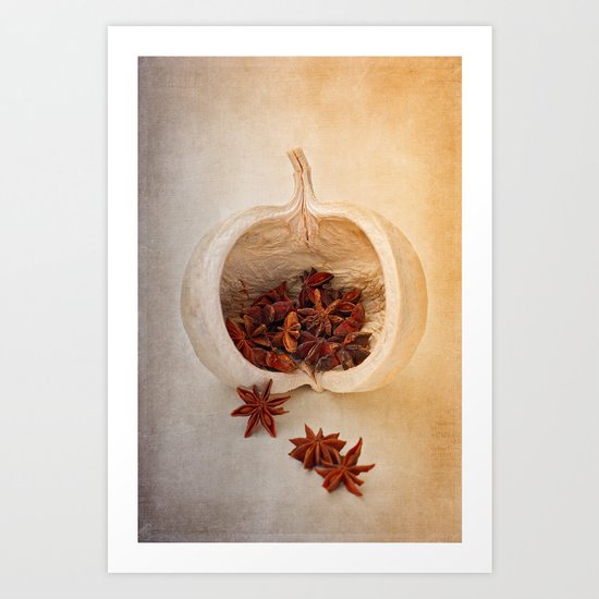 STAR ANISE Art Print