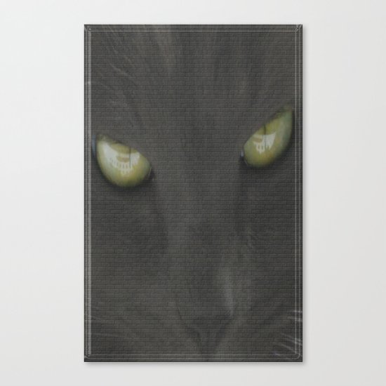 walls have eyes Canvas Print