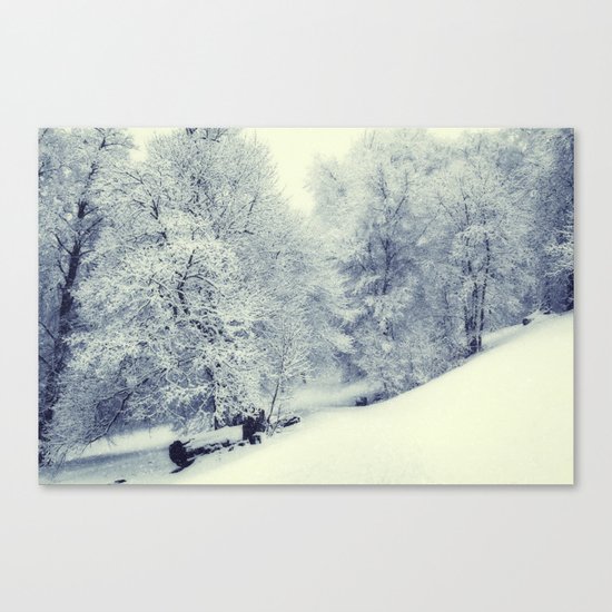 Snow World Canvas Print