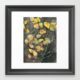 Dried Quince Framed Art Print