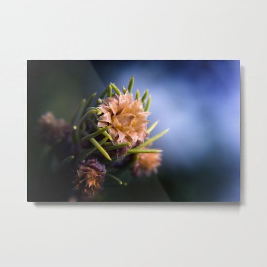 SpringCone#2 Metal Print