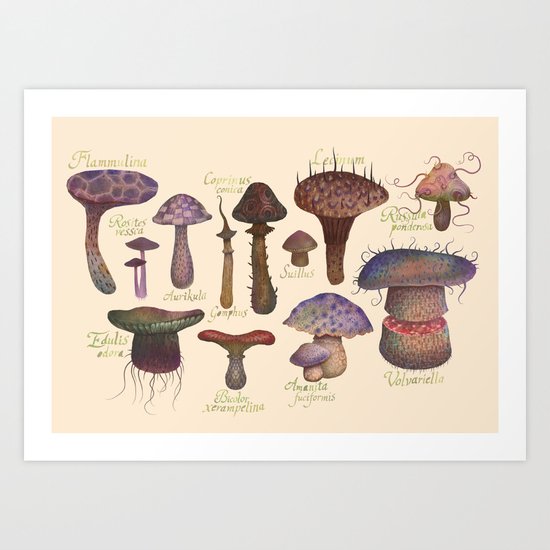 Fungus Species II Art Print