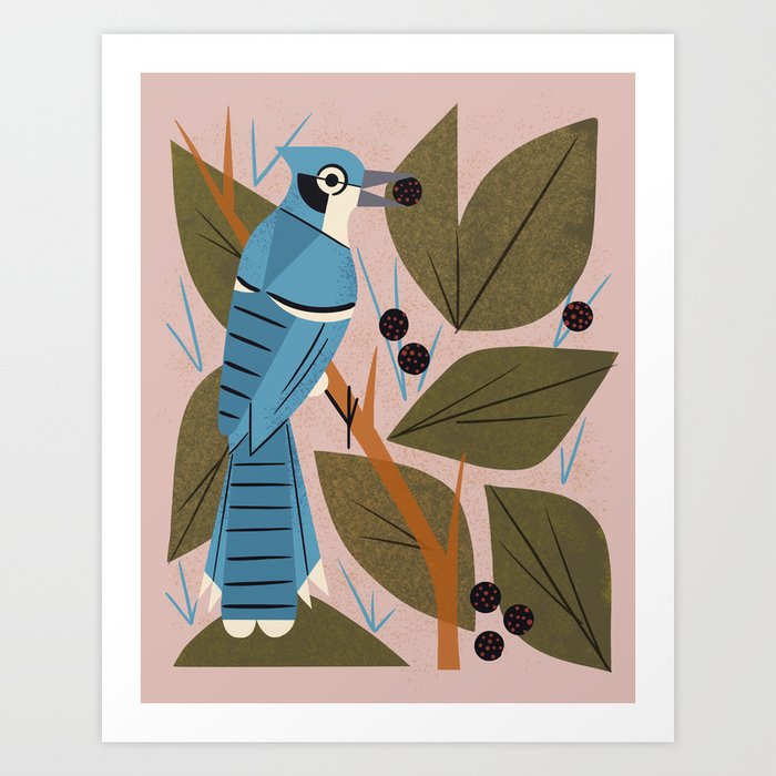 Blue Jay And Berries Art Print