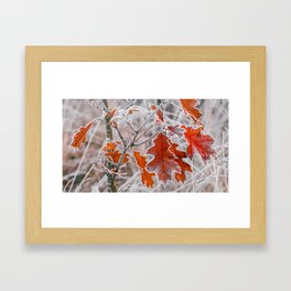 Fall Meets Frost Framed Art Print