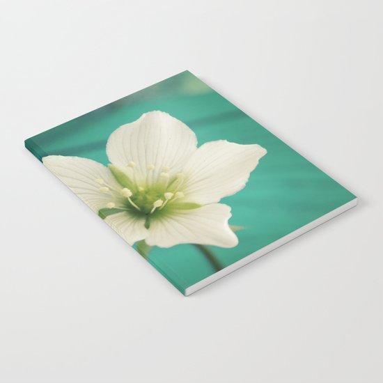 Venus Notebook