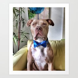 Bean in a bowtie Art Print