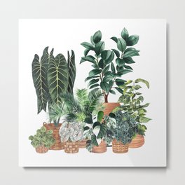 House Plants Watercolor Illustration 5 Metal Print | Plants, Plantillustration, Plantlover, Indoorjungle, Watercolor, Plantloverart, Painting, Modernplant, Botanical, Houseplants 