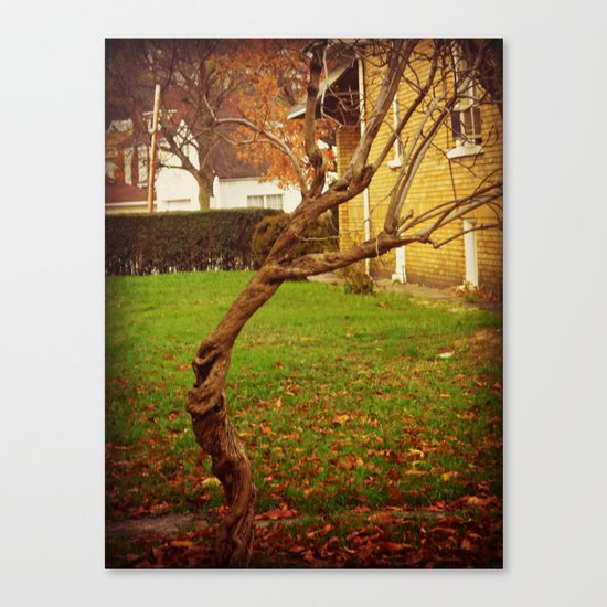 Twisted Life Canvas Print