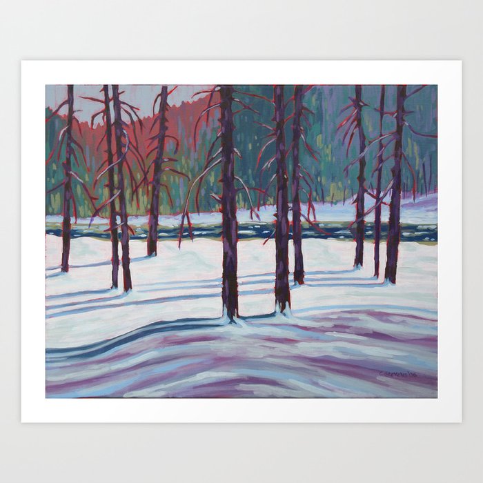 The Spruce Bog, Algonquin Park Art Print