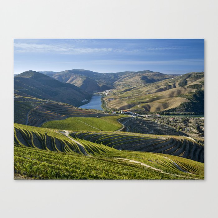 Vineyards in the Douro Valley, Pinhao Canvas Print