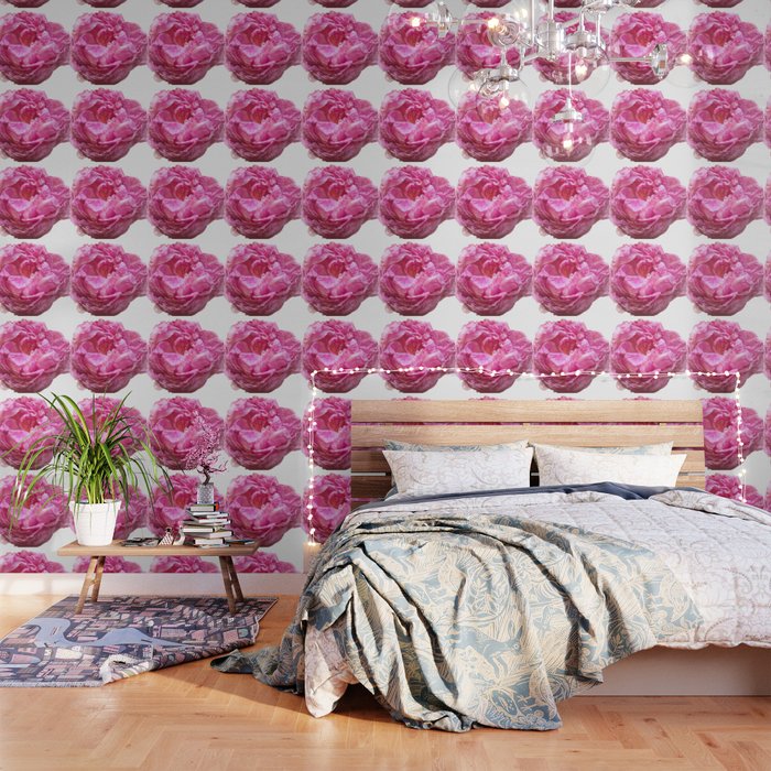 Pink Peony Wallpaper By Tess Andre Society6
