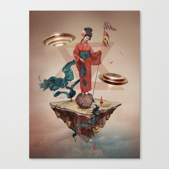 fly away Canvas Print