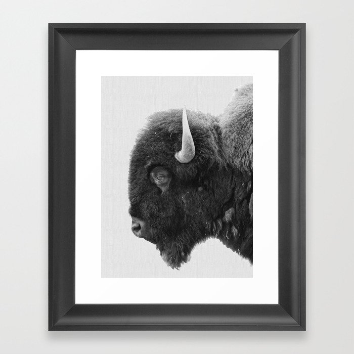 buffalo profile Framed Art Print
