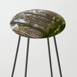 Early Summer Woodland in the Scottish Highlands Counter Stool