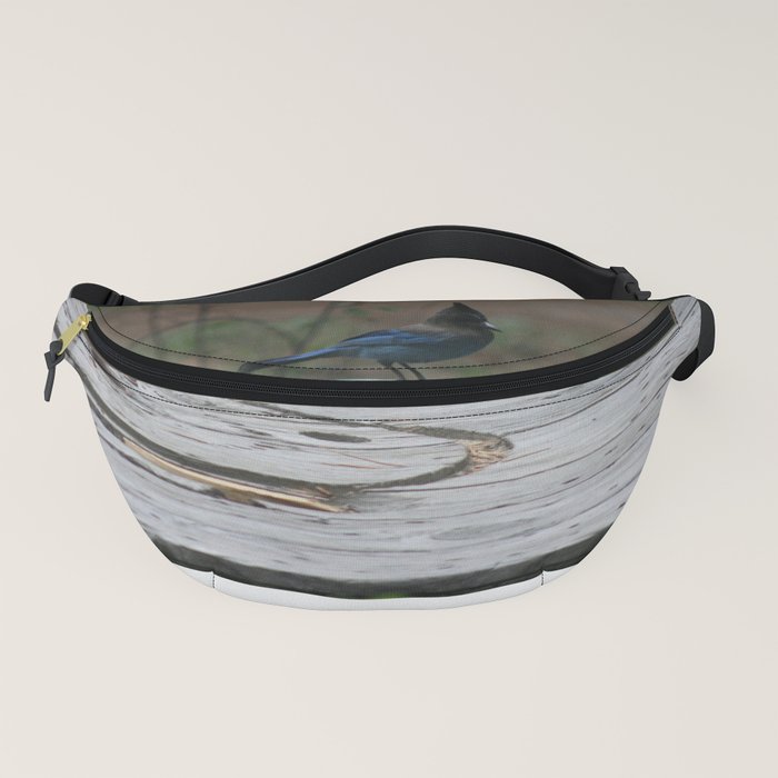 Morro Rock Tabby Blue Jay Maine Pier Fanny Pack by S D Smith