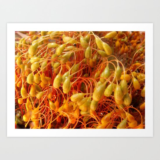 Alien Vegetation Art Print