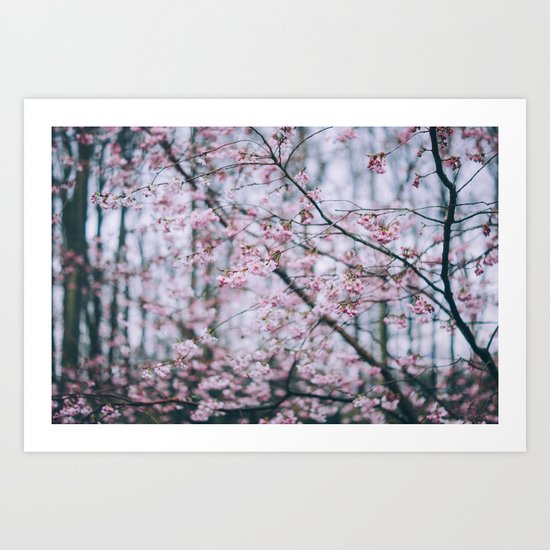 Cherry Blossom forest Art Print