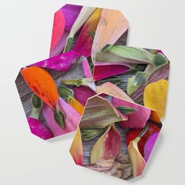 Colorful Zinnia Petals & Seeds Coaster
