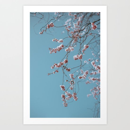 spring colors Art Print
