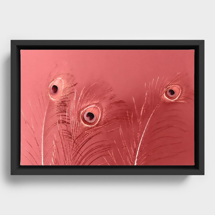 Red Peacock Feathers  Framed Canvas